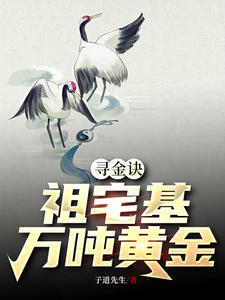 寻金诀里的金名
